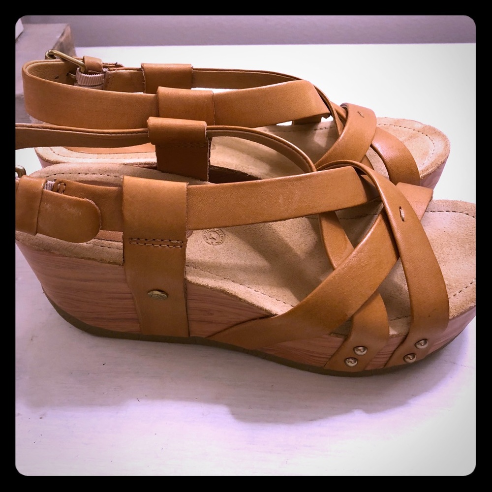 Bussola wedges